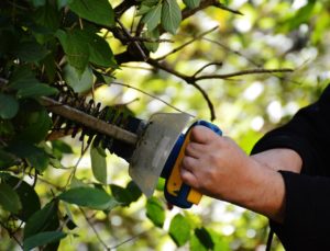 Garten Hausmeister Service Wagner Lüdenscheid